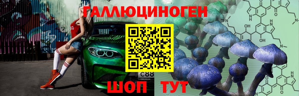 Псилоцибиновые грибы Psilocybe Алапаевск