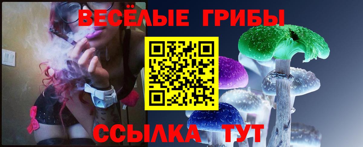 Псилоцибиновые грибы ЛСД  Вход с VPN  Алапаевск 