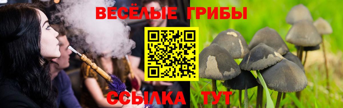 Марихуана Алапаевск